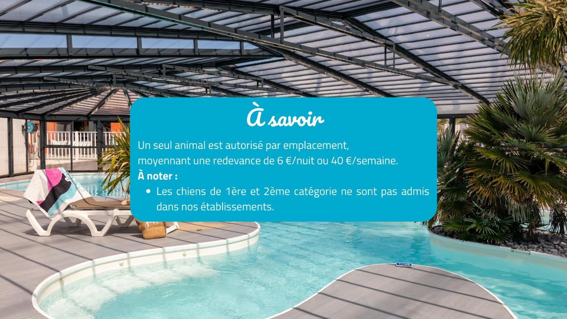 Camping Park Er Lann Saint-Pierre-Quiberon Dış mekan fotoğraf